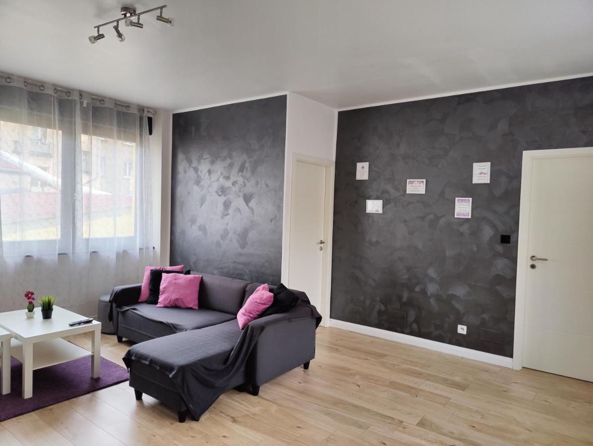 Le Purple, Appartement De Standing En Hypercentre サルグミーヌ エクステリア 写真